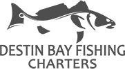 Destin Bay Fishing Logo